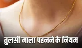 Tulsi Mala: किन लोगों को नहीं पहननी चाहिए तुलसी की माला, जानें इससे जुड़े नियम और लाभ