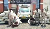 छत्तीसगढ़-ओडिशा बॉर्डर पर बड़ा ड्रग्स नेटवर्क बेनकाब: 1400 किलो से ज्यादा अफीम पोस्त जब्त, हरियाणा के दो तस्कर गिरफ्तार
