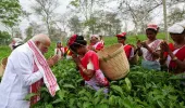 Assam Tea Garden Surprise: चुनावी दौरे के बीच PM मोदी अचानक पहुंचे बागान, महिलाओं संग तोड़ी चाय की पत्तियां और ली सेल्फी
