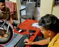 CG Breaking: रिसॉर्ट में पक रहा था हिरण का मांस! वन विभाग की रेड में बड़ा खुलासा