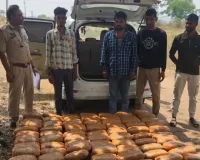 बिलासपुर में कार से 245 किलो गांजा जब्त, 1.22 करोड़ की खेप पकड़ी, ओडिशा से एमपी सप्लाई का नेटवर्क बेनकाब 