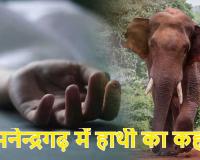 CG News: मनेन्द्रगढ़ में हाथी का कहर, महुआ बीनने गए ग्रामीण की मौत, वन विभाग की कार्यप्रणाली पर उठे सवाल