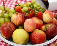 खाली पेट फल खाना सही या गलत? जानें न्यूट्रिशन एक्सपर्ट की राय