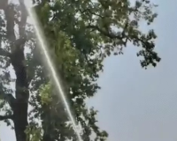 तोते के लिए ‘वॉटर ऑपरेशन’: Narayanpur में फायर ब्रिगेड ने बहाया हजारों लीटर पानी, वायरल VIDEO के बाद संसाधनों के दुरुपयोग पर उठे सवाल