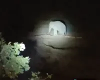 खेत से फार्महाउस तक कहर: रामानुजगंज में हाथियों का उत्पात, 3 एकड़ फसल बर्बाद, लोगों में डर का माहौल