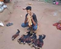  Bijapur Wildlife Crime: सोशल मीडिया पर शिकार का वीडियो बना सबूत, दुर्लभ गिलहरी का शिकारी गिरफ्तार