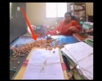 मैडम ये बादाम खाइए, शायद गुम हुई फाइल याद आ जाए...