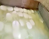 रायपुर में ‘धीमा जहर’ का खेल: 1200 किलो नकली पनीर जब्त, केमिकल से बन रहा था जहर, 4 साल में लिवर सिरोसिस और कैंसर का खतरा