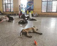 रायपुर बस टर्मिनल में अव्यवस्था चरम पर: पानी, कूलिंग और सुरक्षा तक नहीं, 5 हजार यात्री रोज परेशान