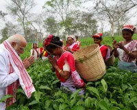 Assam Tea Garden Surprise: चुनावी दौरे के बीच PM मोदी अचानक पहुंचे बागान, महिलाओं संग तोड़ी चाय की पत्तियां और ली सेल्फी