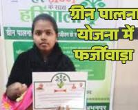 कागजों पर लहलहा रहे 52 हजार पेड़: नई माताओं के नाम पर रायपुर में ग्रीन पालना फर्जीवाड़ा, वन विभाग के आंकड़ों ने खोली पोल