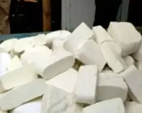 Fake Paneer Racket Exposed: केमिकल से तैयार हो रहा नकली पनीर, ढाबों से फाइव स्टार होटलों तक सप्लाई, स्वास्थ्य विभाग अलर्ट