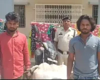 कपड़ों की फेरी, अंदर करोड़ों का गांजा! छत्तीसगढ़ में ‘सीक्रेट बॉक्स गैंग’ का पर्दाफाश, MP-महाराष्ट्र के 13 तस्कर गिरफ्तार