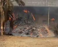 बीजापुर के बाद अब बस्तर में तेंदूपत्ता गोदाम में आग, 1000 बोरे राख, बीजापुर आगकांड के बाद DFO पर गिरी गाज