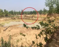 रायगढ़ में दर्दनाक हादसा: तालाब में नहाते समय बड़े हाथी के नीचे दबकर शावक की मौत, 5 महीने में 8वीं मौत से बढ़ी चिंता