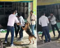 लखनऊ में बिजली चोरी पकड़ने गई टीम पर हमला, JE को पीटा, पालतू कुत्तों से भी कराया हमला