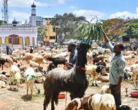 Eid-Ul-Adha 2026: केरल सरकार का बड़ा ऐलान, बकरीद पर लगातार दो दिन की छुट्टी; बंगाल ने भी बदली अवकाश तारीख