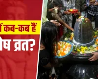 Pradosh Vrat May 2026: कष्टों से मुक्ति दिलाएंगे मई के ये दो प्रदोष व्रत, जानें पूजा का सबसे शुभ समय और महत्व
