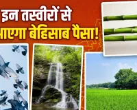 Vastu Tips For Wealth: 7 घोड़ों के अलावा ये तस्वीरें भी हैं मनी मैग्नेट, घर में लगाते ही खिंचा चला आएगा पैसा!