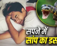 Swapna Shastra: सपने में सांप का डसना देता है ये बड़ा संकेत, जानें शुभ है या अशुभ