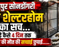 रायपुर के डॉग शेल्टर का सच: बेजुबान की मौत पर 4 दिन तक पर्दा, डॉक्टर के इनकार से खुली पोल!