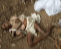 बलरामपुर में दंतैल हाथी का कहर! सुबह शौच के लिए निकले पति-पत्नी को कुचलकर मार डाला, गांव में दहशत