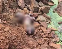 रायपुर में विकसित भ्रूण मिलने से सनसनी, ESIC अस्पताल के पास दूसरी बार हुई ऐसी घटना, जांच में जुटी पुलिस
