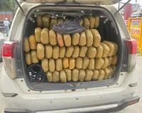 ऑपरेशन आघात का बड़ा वार! ओडिशा से मध्यप्रदेश जा रही 300 किलो गांजा की खेप पकड़ी, 3 अंतरराज्यीय तस्कर गिरफ्तार