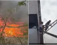 इंदौर में EV शोरूम में भीषण आग, अपार्टमेंट में फंसे 20 से ज्यादा लोगों को निकाला गया सुरक्षित 