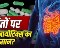 क्या ज्यादा Antibiotics लेने से खराब हो सकती है Gut Health? जानें आंतों पर इसका असर और बचाव के तरीके