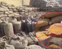 कागजों में भरा था गोदाम, हकीकत में गायब निकला 2441 क्विंटल धान! कवर्धा में 81 लाख के घोटाले का खुलासा, प्रभारियों पर FIR