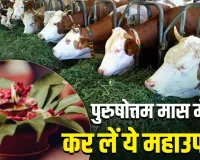 Purushottam Maas 2026: 15 जून से पहले कर लें ये 6 चमत्कारी उपाय, भगवान विष्णु की कृपा से खुल सकते हैं किस्मत के बंद दरवाजे
