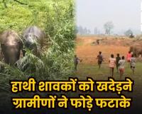 CG News: हाथियों को खदेड़ने के नाम पर लापरवाही! शावकों पर फटाखे और पत्थर बरसाने का VIDEO वायरल, ग्रामीणों की हरकत से बढ़ा बड़ा खतरा