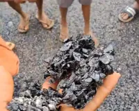 Surguja Road Construction: बनते ही उखड़ गई सड़क! जन-मन योजना के काम पर ग्रामीणों ने खोली पोल, हाथों से निकाली परत, देखे वीडियो... 