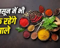 बारिश में सबसे पहले खराब होते हैं मसाले! ये किचन हैक्स बचाएंगे स्वाद और खुशबू