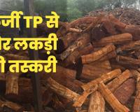 फर्जी टीपी से चल रहा था खैर लकड़ी की तस्करी का खेल: नाकों पर क्यूआर स्कैनर नहीं होने का तस्कर उठा रहे फायदा; मास्टरमाइंड फरार