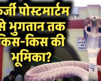 17 करोड़ के सर्पदंश घोटाले में बड़ा प्रश्न: फर्जी पोस्टमार्टम से भुगतान तक किस-किस ने निभाई भूमिका?
