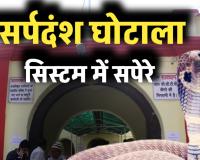 सर्पदंश घोटाला: फाइलों में सांप और सिस्टम में सपेरे; 2 सिपाही और 3 बाबू अंदर, 'साहबों' की तलाश जारी