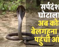 सर्पदंश मुआवजा घोटाला: मृतक कमलेश और रोहन के नाम पर फर्जीवाड़ा, जांच में कोटा-बेलगहना के दलालों के नाम आए सामने