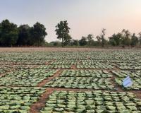 जूते-चप्पल के टेंडर में ओएसडी का खेल: 50 करोड़ की खरीद पर हाईकोर्ट का ब्रेक, सीएम नाराज !