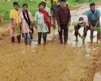 Korea News: सड़क नहीं, बना धान का खेत! अधूरे निर्माण से नाराज ग्रामीणों ने कीचड़ में की धान रोपाई, प्रशासन से लगाई गुहार