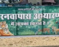 मानसून में बंद हुआ बारनवापारा अभयारण्य, अब बफर जोन में मिलेगा नेचर टूरिज्म का नया अनुभव; विकसित किए गए विशेष पर्यटन स्थल