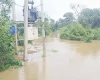 महानदी उफान पर... चारों ओर पानी, बीच में जिंदगी! बाढ़ में घिरा रीवा सरार गांव, 35 ग्रामीणों का टूटा संपर्क