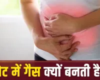 बार-बार पेट में गैस बनती है? आपकी ये रोजमर्रा की आदतें हो सकती हैं जिम्मेदार, जानें कब डॉक्टर से मिलना जरूरी