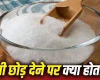 क्या चीनी छोड़ने से बदल सकती है आपकी सेहत? WHO ने बताया रोज कितनी शुगर है सुरक्षित
