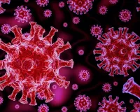COVID Alert: आंध्र प्रदेश में 2 मौतों के बाद बढ़ी सतर्कता, 8 एक्टिव केस मिलने पर स्वास्थ्य विभाग हाई अलर्ट पर