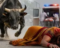 अंबिकापुर में आवारा सांड बना जानलेवा! हमले में घायल महिला ने इलाज के दौरान तोड़ा दम, महापौर ने दी सख्त चेतावनी