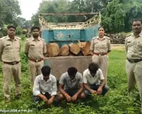 Forest Department Action: सूरजपुर में लकड़ी तस्करों पर शिकंजा, सागौन से लदी पिकअप जब्त; तीन आरोपी गिरफ्तार