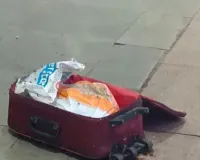 तमिलनाडु एक्सप्रेस सूटकेस मिस्ट्री: मानव अंग मिलने के मामले में 27 CCTV खंगाले, लाल बैग वाला संदिग्ध कैमरे में कैद