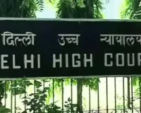 ध्रुव राठी के विवादित वीडियो पर बड़ा अपडेट, Google ने भारत में रोका प्रसार; दिल्ली HC में हुई सुनवाई